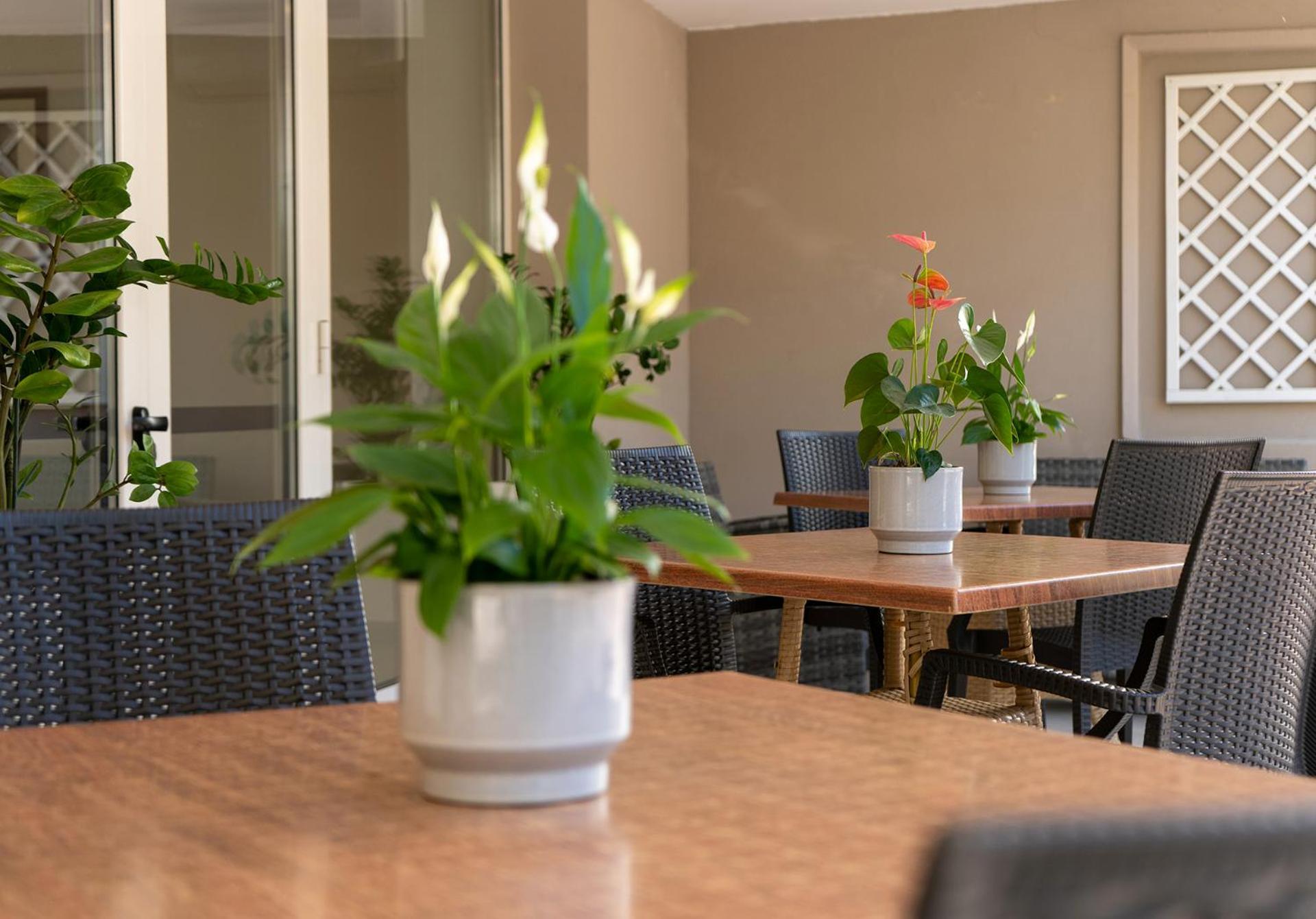 Hotel Carmen Ριτσόνε Εξωτερικό φωτογραφία